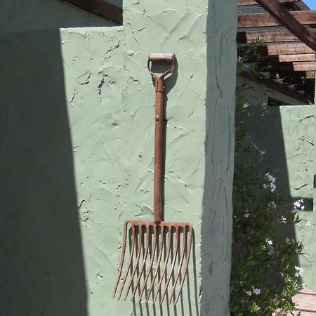 Die Windpomp Gastehuis Beaufort West Eksteriør billede